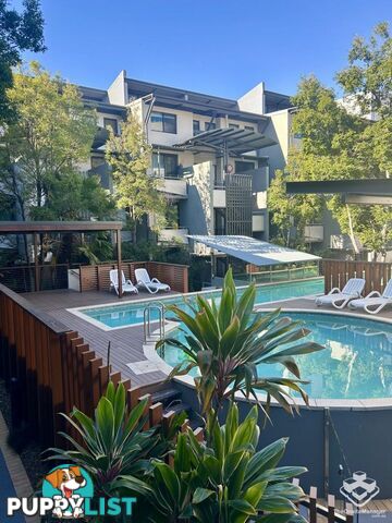 ID:21156293 139 Commercial Road Teneriffe QLD 4005