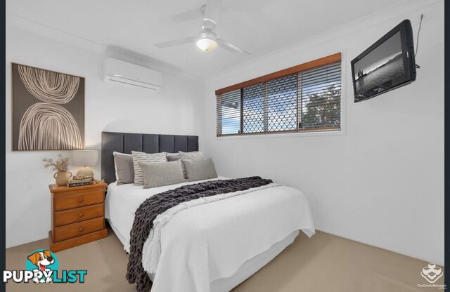 2 Regal Place Aspley QLD 4034