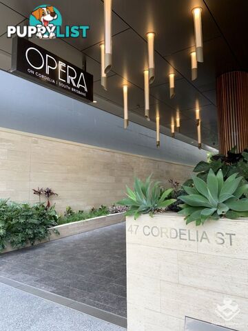 L4/47 Cordelia Street South Brisbane QLD 4101