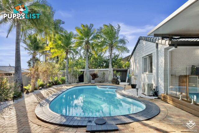 12 Balranald Court Helensvale QLD 4212