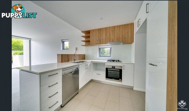 L1/54 Lincoln Street Greenslopes QLD 4120