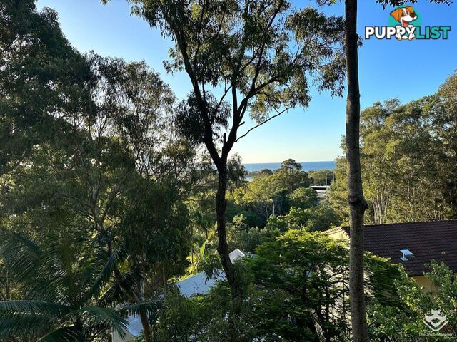 1/24 Panorama Drive Currumbin QLD 4223