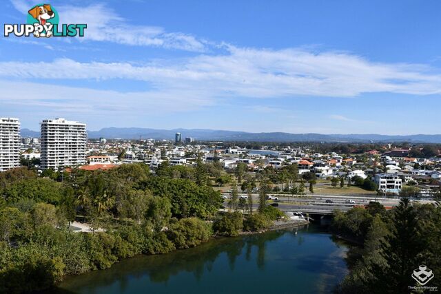 ID:21148390 24 Breaker Street Main Beach QLD 4217