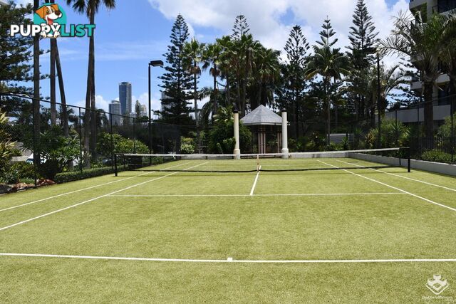 ID:21148390 24 Breaker Street Main Beach QLD 4217