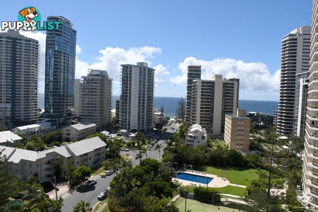 ID:21148390 24 Breaker Street Main Beach QLD 4217