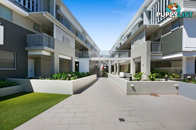 ID:21157638 4 Ben Lexcen Place Robina QLD 4226