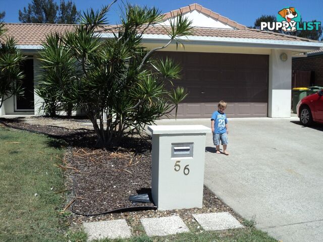 56 Allenby Crescent Windaroo QLD 4207