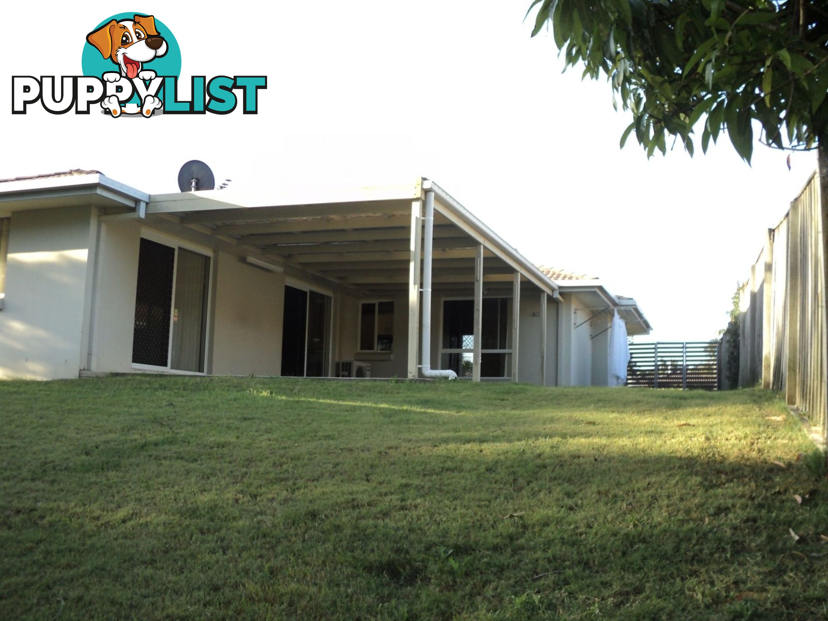 56 Allenby Crescent Windaroo QLD 4207