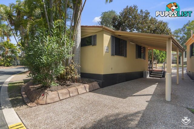 ID:21156187 71 Hinde Street Ashmore QLD 4214