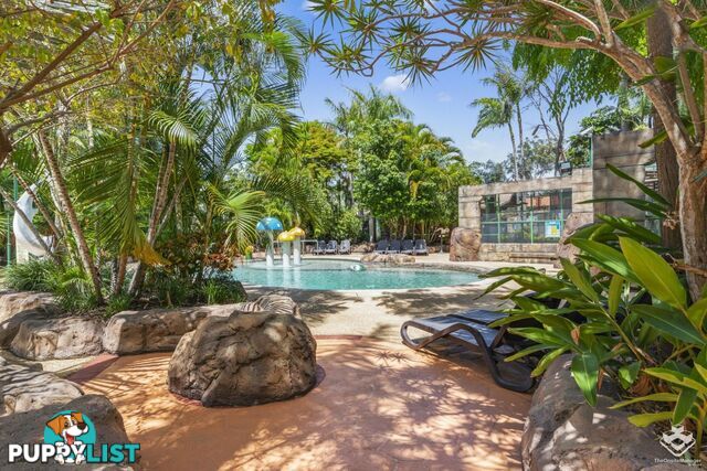 ID:21156187 71 Hinde Street Ashmore QLD 4214