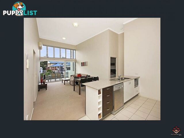 ID:3896116/95 Clarence Road Indooroopilly QLD 4068