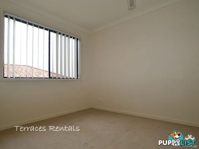 ID:21158770 24 Amsonia Court Arundel QLD 4214