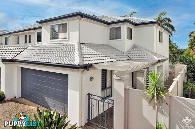 ID:21156374 85 Palm Meadows Drive Carrara QLD 4211