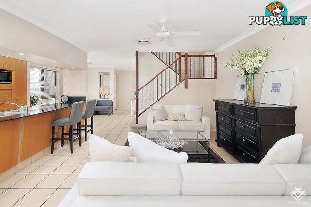 ID:21156374 85 Palm Meadows Drive Carrara QLD 4211