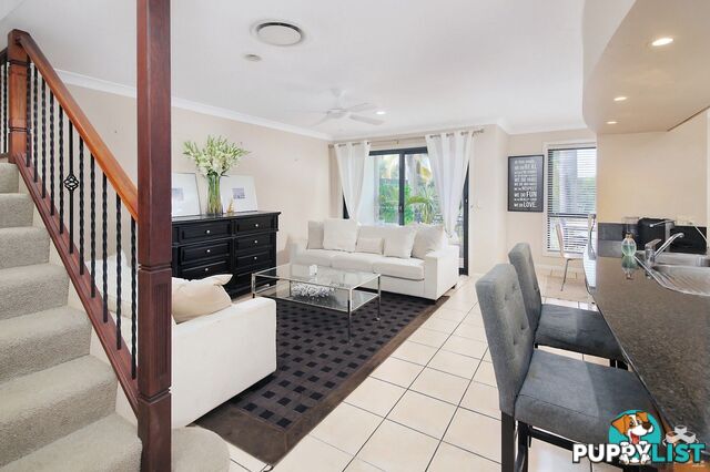 ID:21156374 85 Palm Meadows Drive Carrara QLD 4211