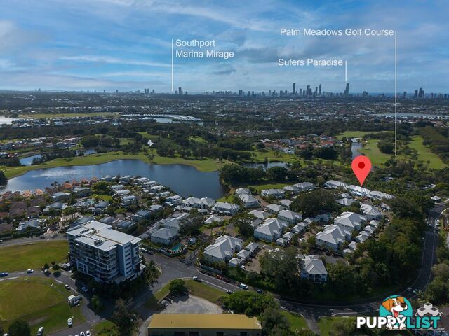 ID:21156374 85 Palm Meadows Drive Carrara QLD 4211