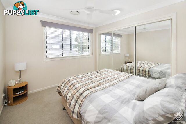 ID:21156374 85 Palm Meadows Drive Carrara QLD 4211