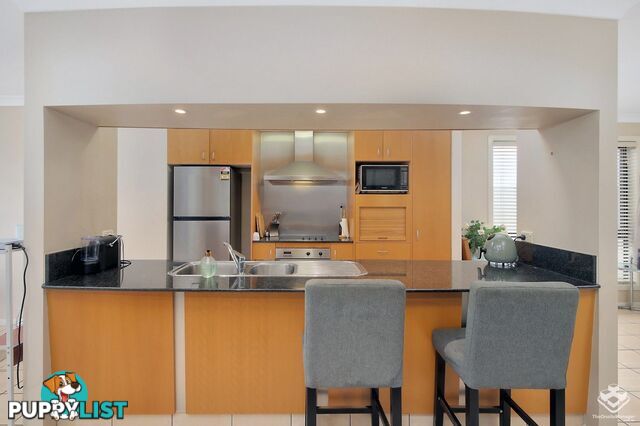 ID:21156374 85 Palm Meadows Drive Carrara QLD 4211