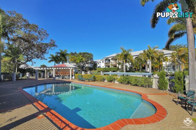 ID:21156374 85 Palm Meadows Drive Carrara QLD 4211