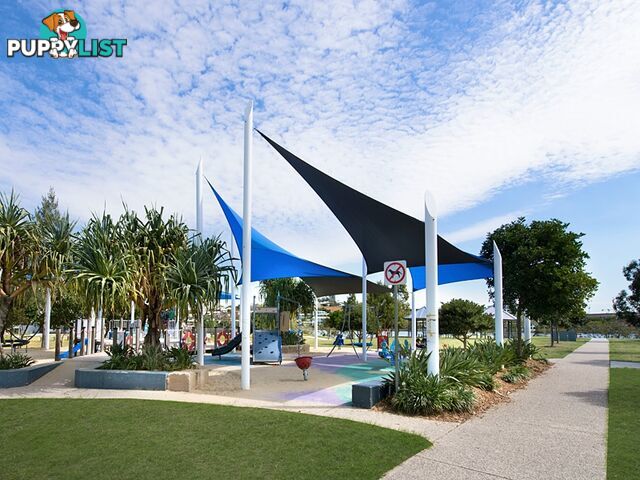ID:3847099 70 Love St Bulimba QLD 4171