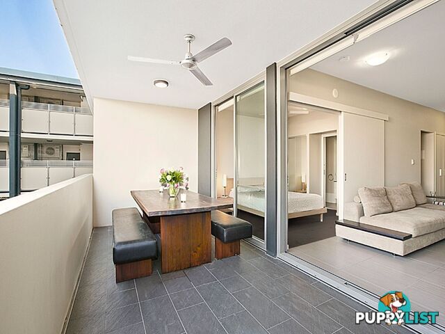 ID:3847099 70 Love St Bulimba QLD 4171