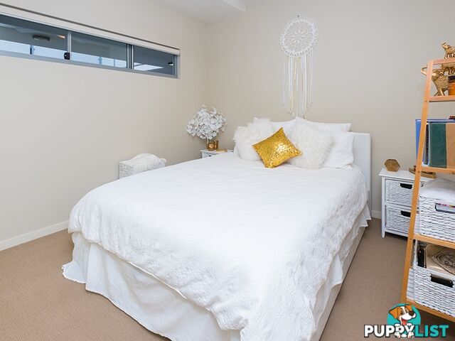 ID:3847099 70 Love St Bulimba QLD 4171