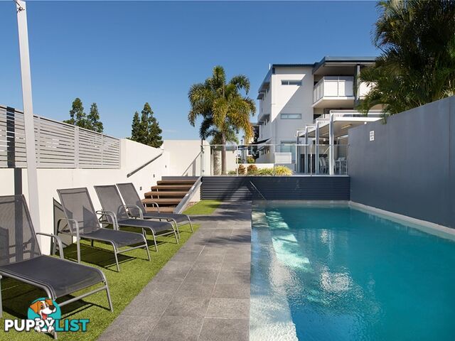 ID:3847099 70 Love St Bulimba QLD 4171
