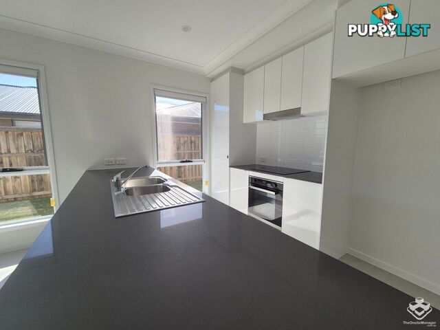 37 John Street Walloon QLD 4306