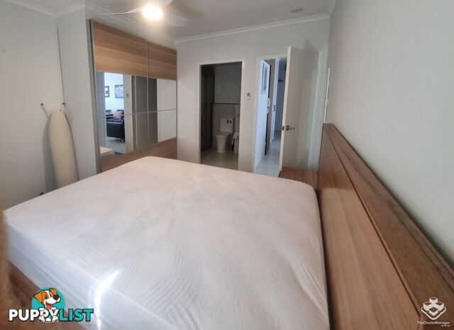 ID:21154948 4 Clifford Street Surfers Paradise QLD 4217