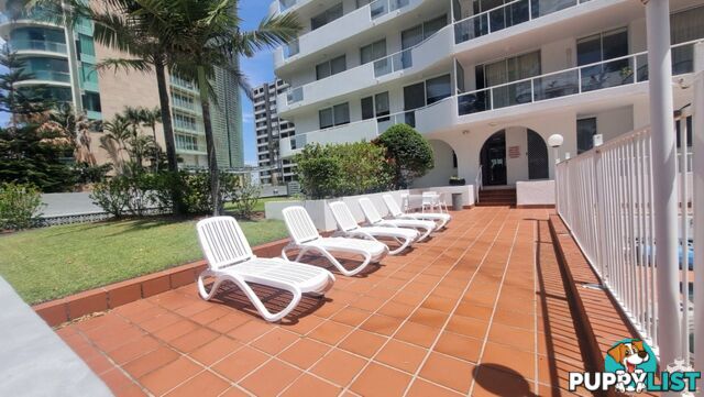ID:21154948 4 Clifford Street Surfers Paradise QLD 4217