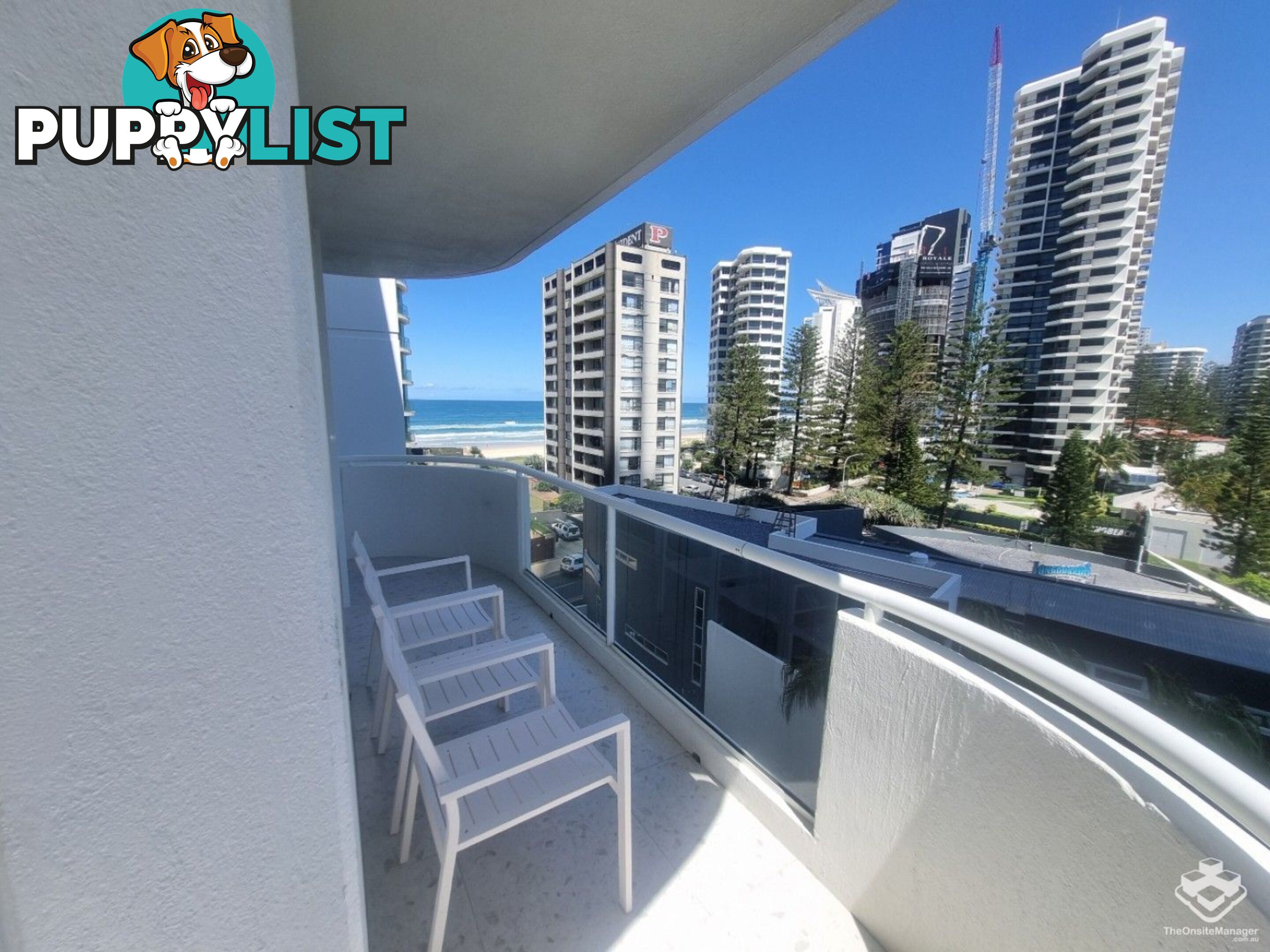 ID:21154948 4 Clifford Street Surfers Paradise QLD 4217