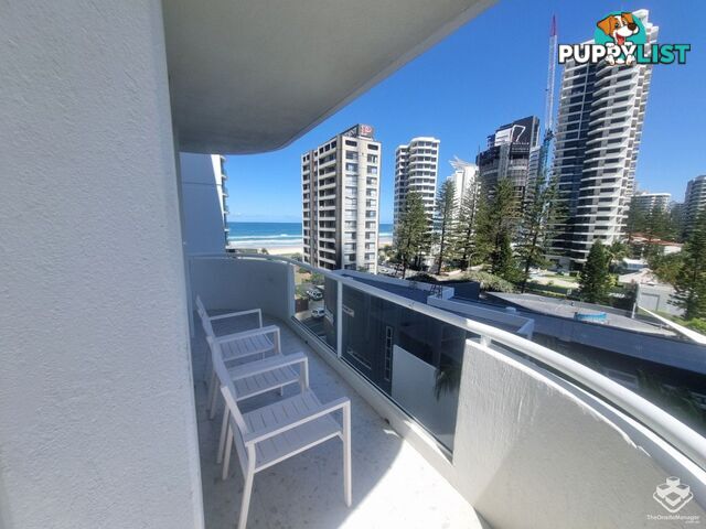 ID:21154948 4 Clifford Street Surfers Paradise QLD 4217