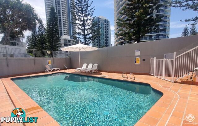 ID:21154948 4 Clifford Street Surfers Paradise QLD 4217