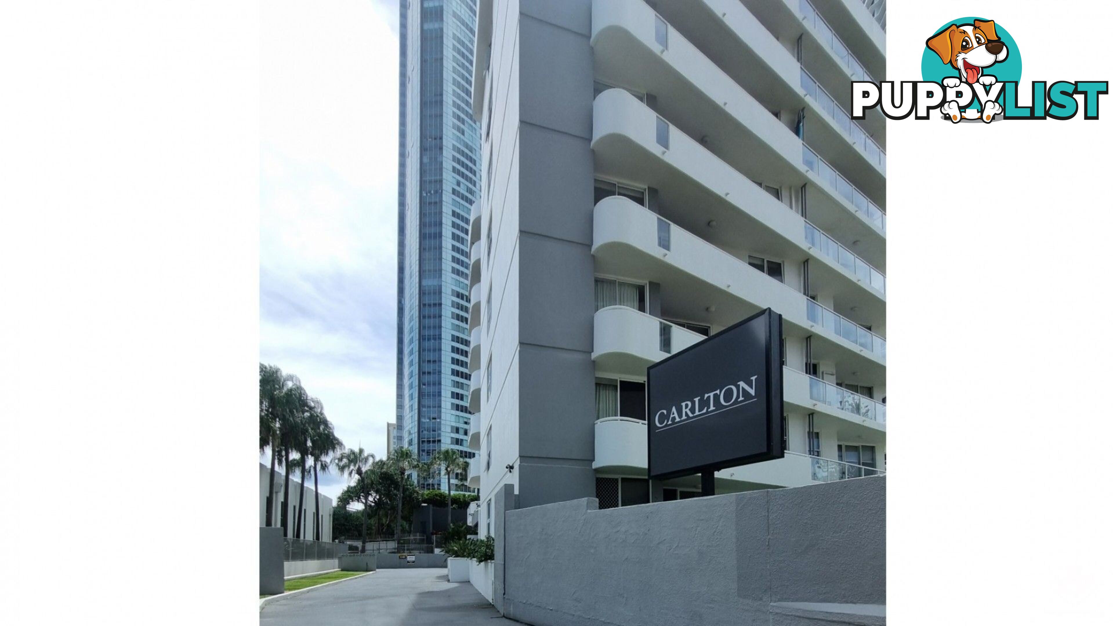 ID:21154948 4 Clifford Street Surfers Paradise QLD 4217