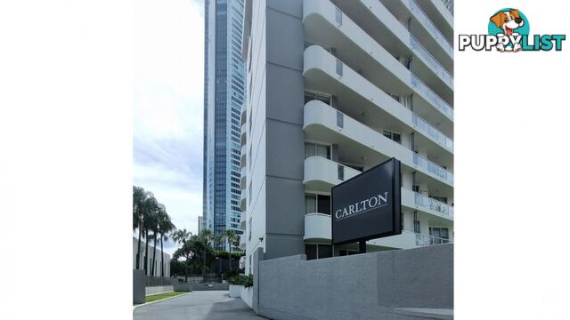 ID:21154948 4 Clifford Street Surfers Paradise QLD 4217
