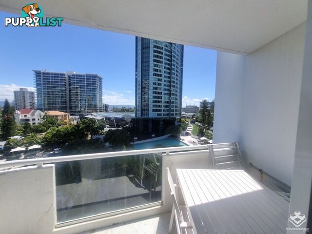 ID:21154948 4 Clifford Street Surfers Paradise QLD 4217