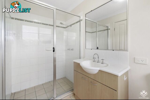 ID:21157535 1 Secondary Street Upper Coomera QLD 4209