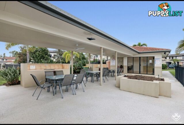 ID:21157535 1 Secondary Street Upper Coomera QLD 4209