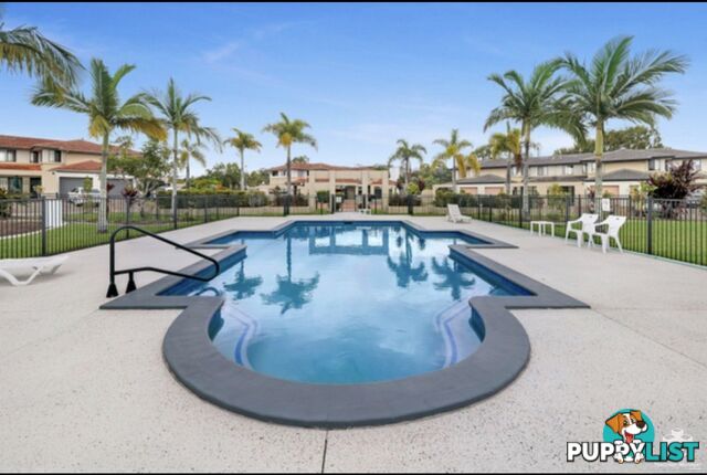 ID:21157535 1 Secondary Street Upper Coomera QLD 4209