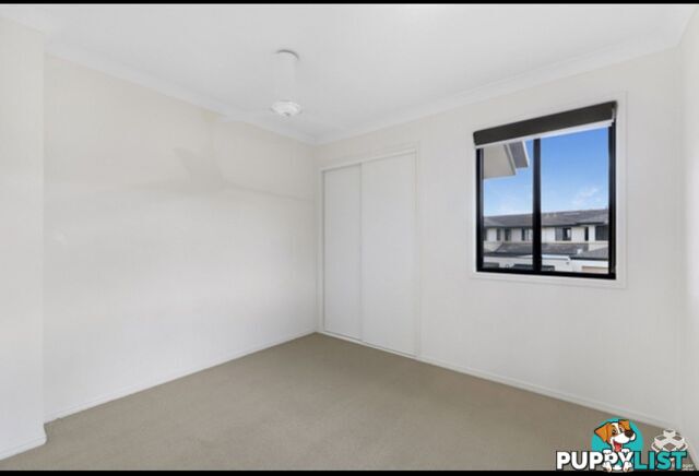 ID:21157535 1 Secondary Street Upper Coomera QLD 4209
