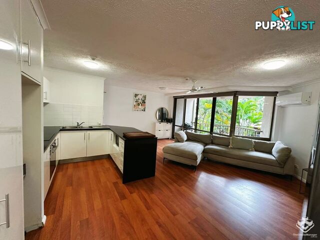 Unit 37 38 Enderley Avenue Surfers Paradise QLD 4217