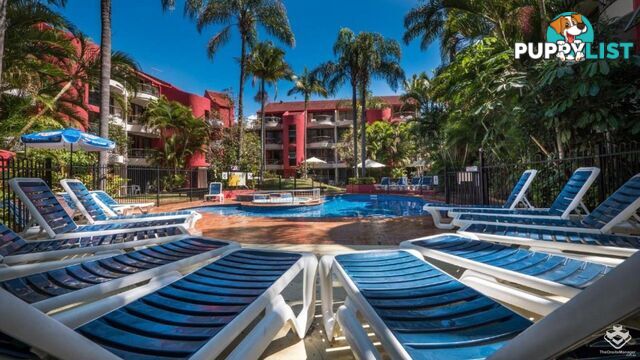 Unit 37 38 Enderley Avenue Surfers Paradise QLD 4217