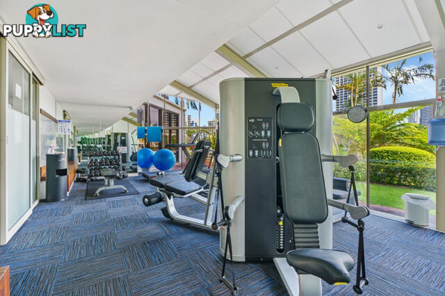 ID:21154580 2 Admiralty Drive Surfers Paradise QLD 4217