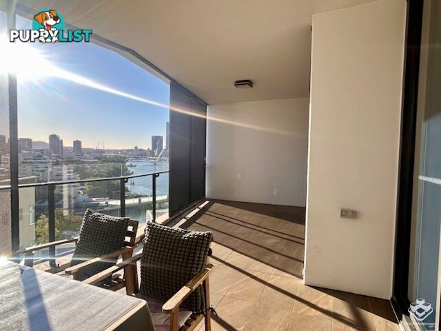 ID:21156989 6 Christie Street South Brisbane QLD 4101