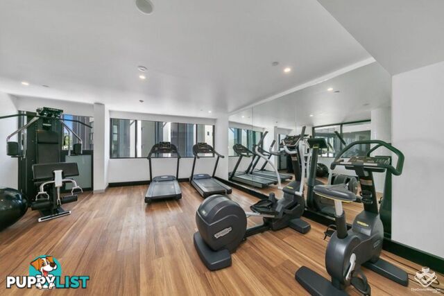 ID:21156989 6 Christie Street South Brisbane QLD 4101