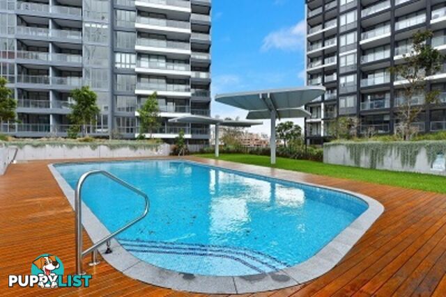 3109/65 Tumbalong Boulevard Haymarket NSW 2000