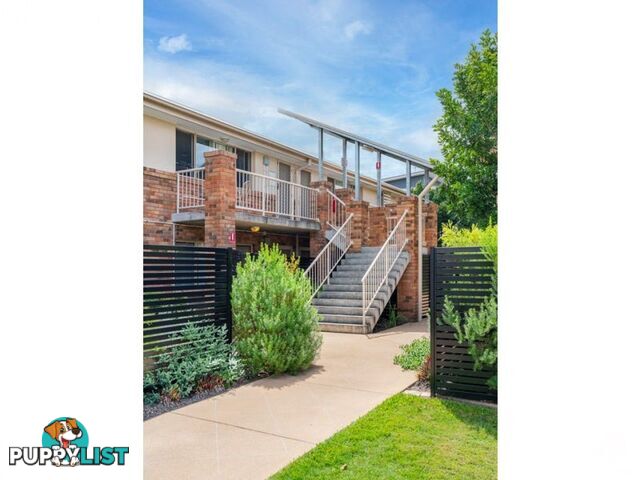 ID:21144576/87 Thorn Street Ipswich QLD 4305