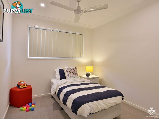 ID:21156164 11 Emerald Place Bridgeman Downs QLD 4035