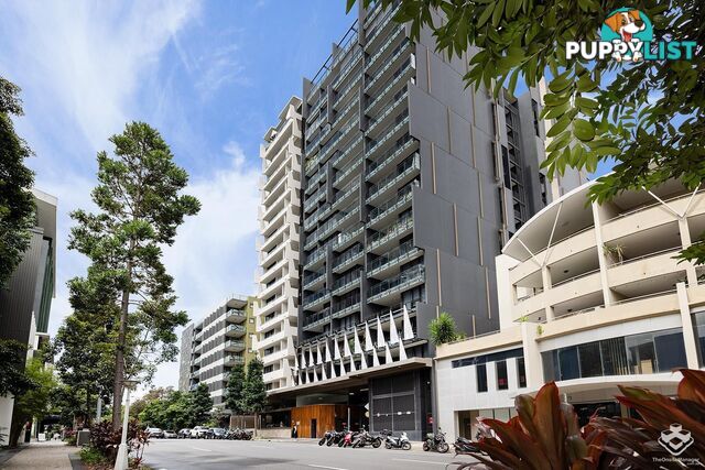 303/47 Cordelia Street South Brisbane QLD 4101