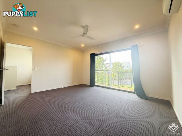 6 Rivina Circuit Coomera QLD 4209